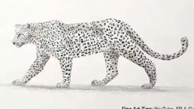 简笔素描教学3分钟教你画一只豹子超简单