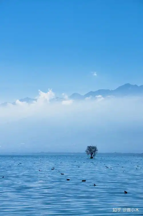 能发一张你照过的最好看的风景吗