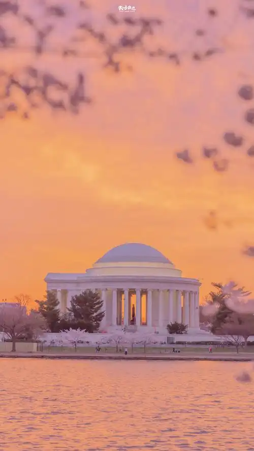 #春日氛围感大赛##春游季##你好春天#