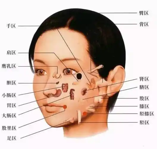 【 珍藏版】面部诊断!中医教你从脸上看出身体疾病!
