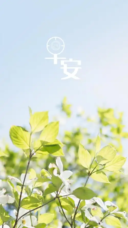 早安清新的自然绿叶风景