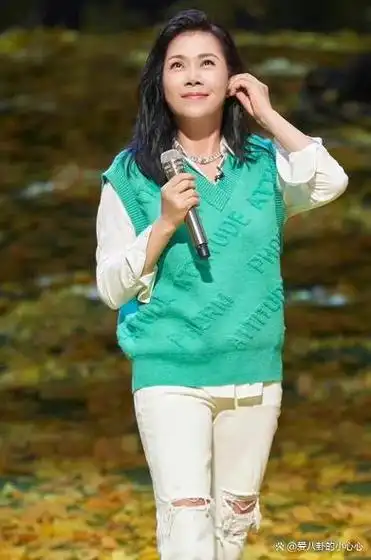 田震回归引争议国内赚钱澳洲花或将成为下一个蒋大为