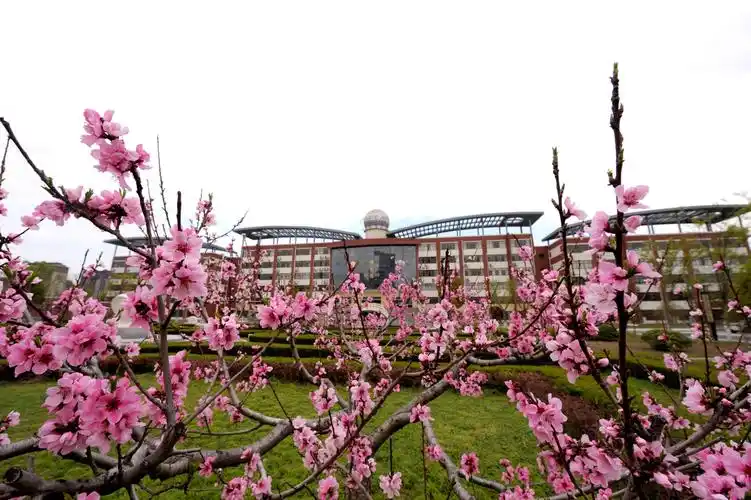 江苏省宿迁中学