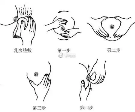5式丰胸按摩操_让你轻松拥有c罩杯_智造美丰胸黑科技