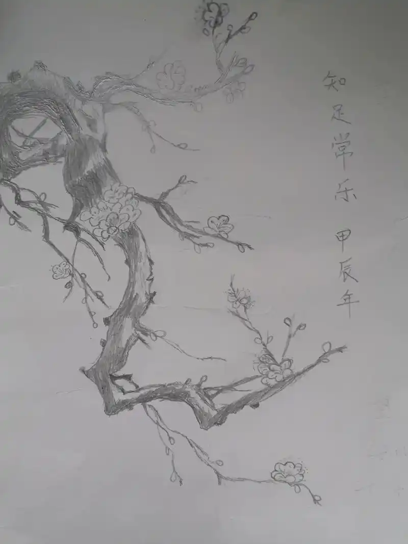 傲骨梅花,不以冰雪而不香.空谷幽兰,不以无人而不芳!