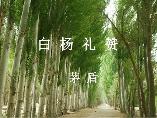 1 白杨礼赞ppt