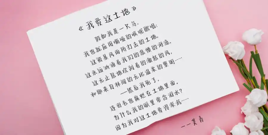 奶酪字体官方授权地址