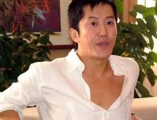 毛宁8次上春晚却被捕入狱54岁无人问津老搭档也已断了联系