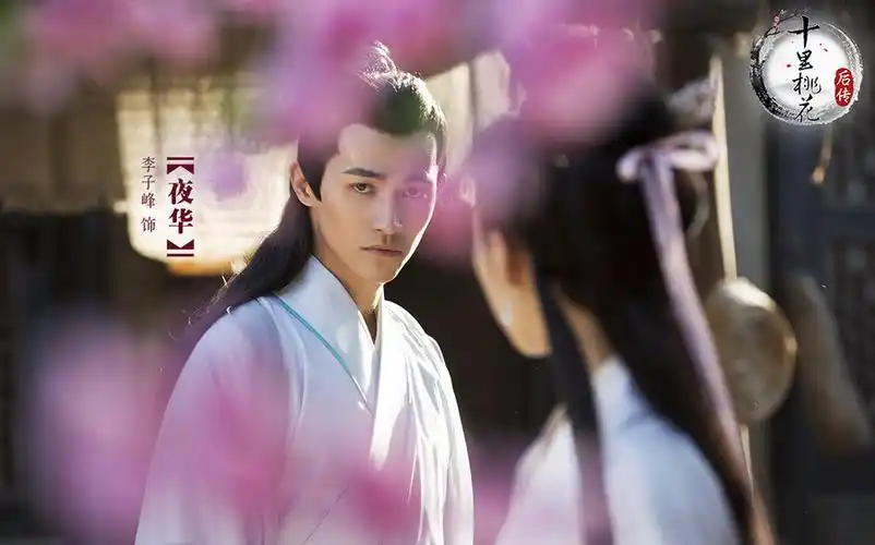 《十里桃花后传》全集-电视剧-免费在线观看