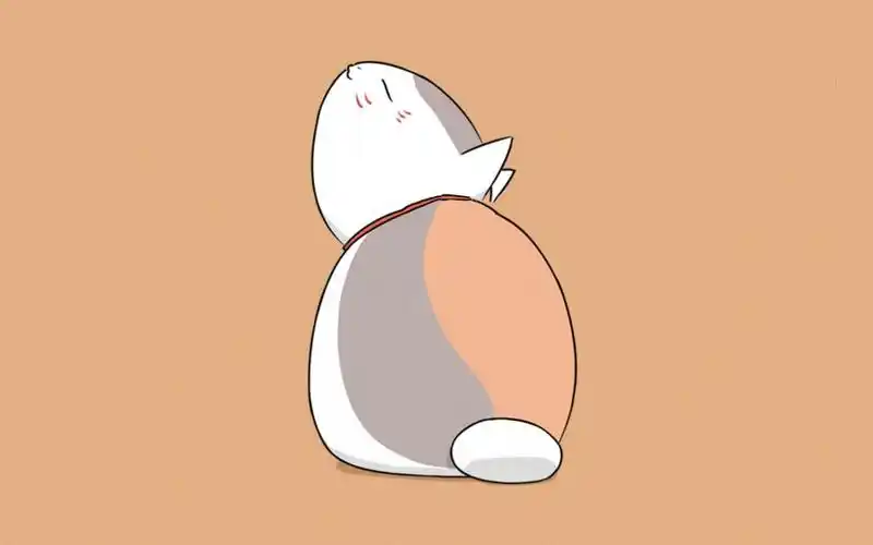 《夏目友人帐》之超可爱的猫咪老师,动漫人物-回车桌面