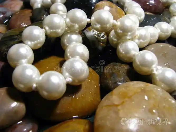 河石上的珍珠