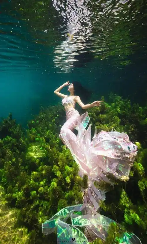 坐动车看贵阳至南宁一路美景_河池市_都安_金城江区