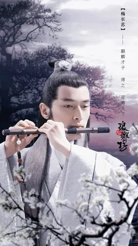 琅琊榜 梅长苏 胡歌#明星#平铺壁纸#高清手机壁纸"