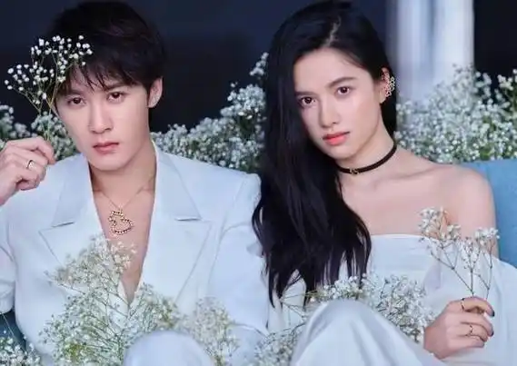 林更新2次被赵丽颖带火,《承欢记》许凯女主运才叫逆天