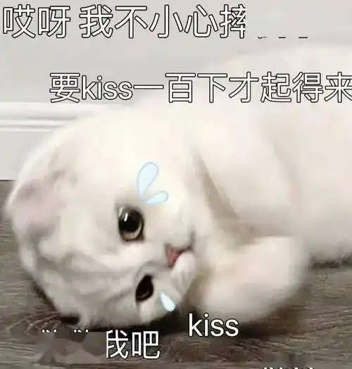 你是不是要攻击我了丨第925期喵表情包_侵权_网络_图片