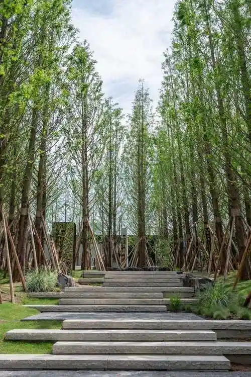 重庆万科森林公园