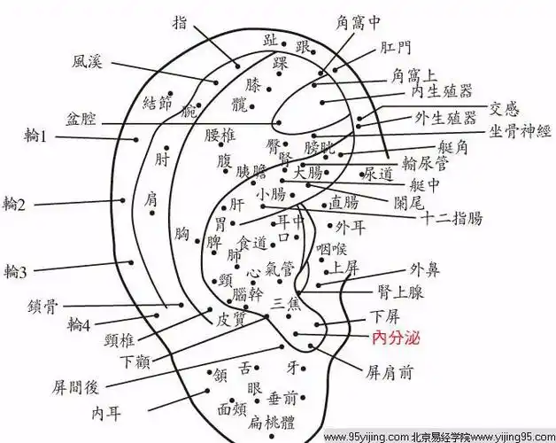 左耳顶上有记好吗,运气好吗