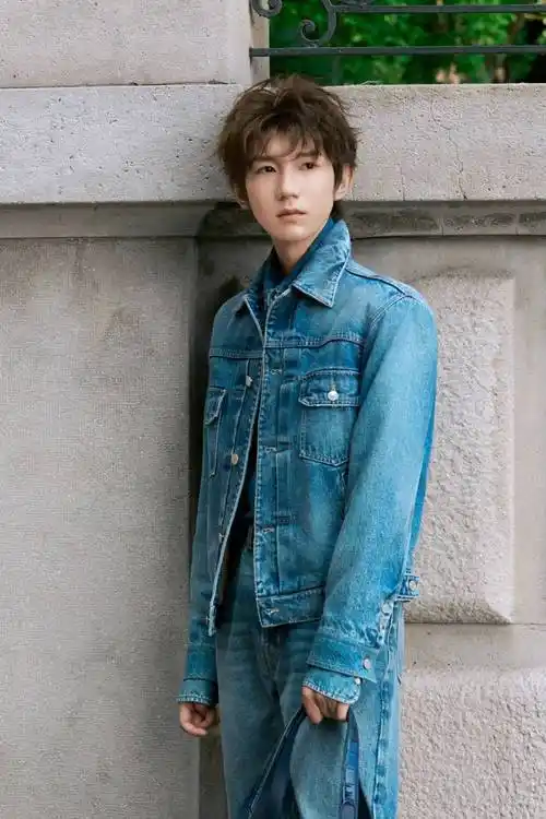 王源荣登国内外教科书,王俊凯喜获文协理事,tfboys解散后内娱再无顶流