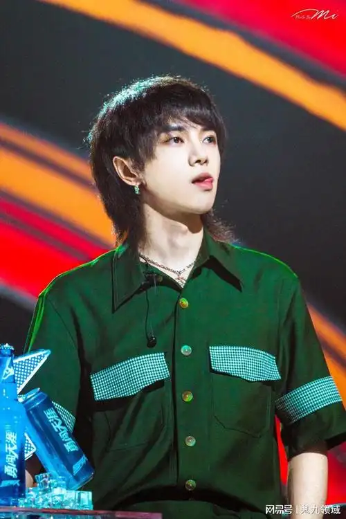 华晨宇发型进化史