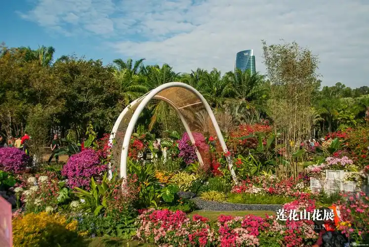 也拍莲花山花展