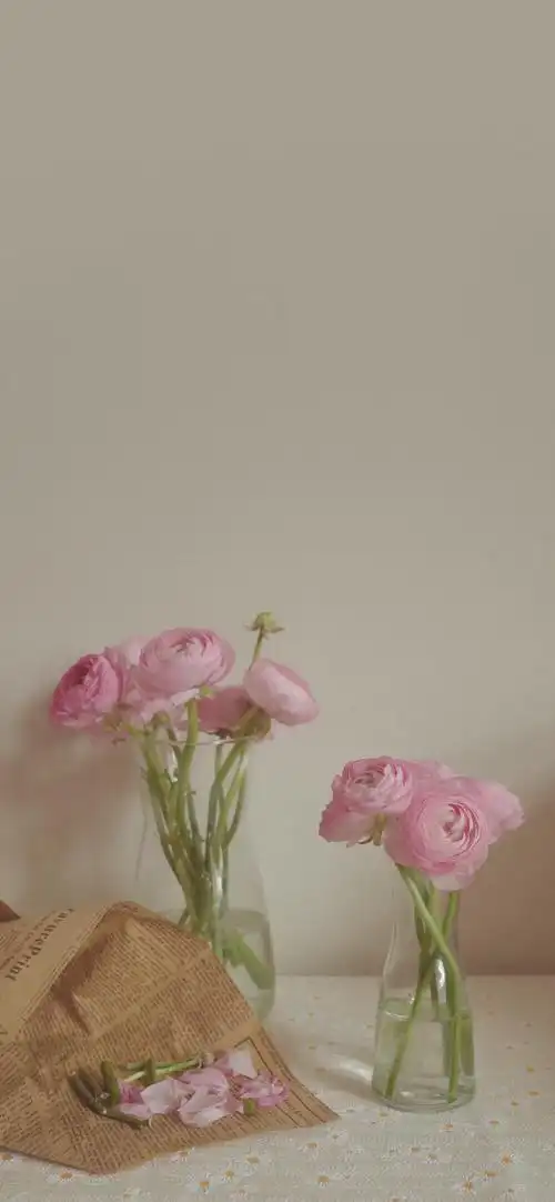 ins 风 - 堆糖,美图壁纸兴趣社区