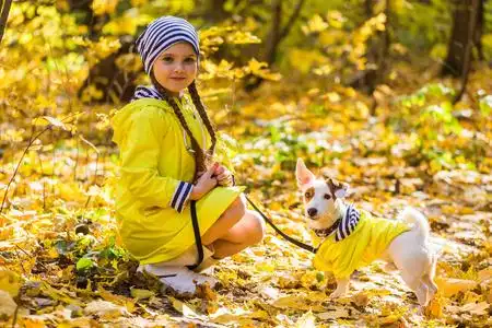 狗在阳光下图片-狗在阳光下素材-狗在阳光下插画-摄图新视界