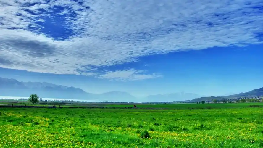 风景草原舞台led背景视频