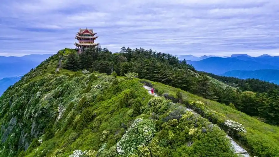 终于等到你峨眉山最高峰万佛顶重新开放27日迎来首批游客