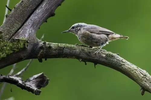 长白山旅居闲拍