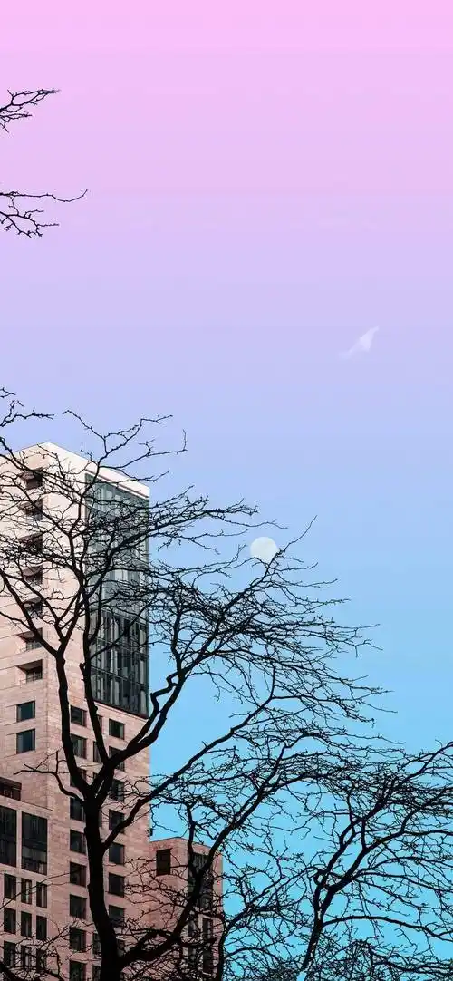 壁纸|高级感ins风壁纸