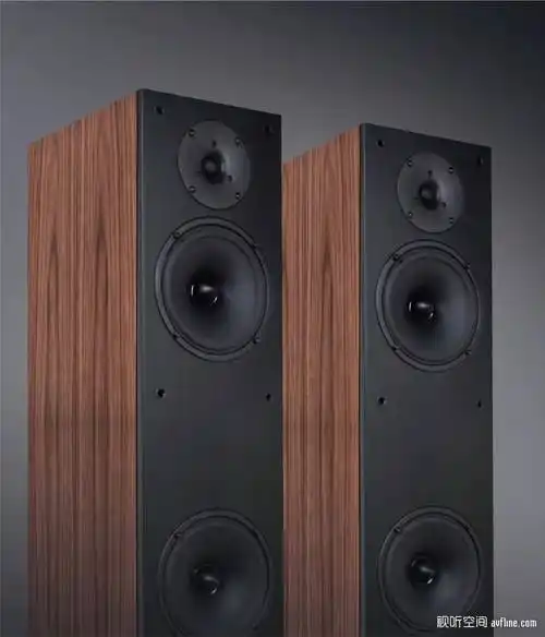 平易近人的芬兰箱:评 penaudio ambient two 音箱