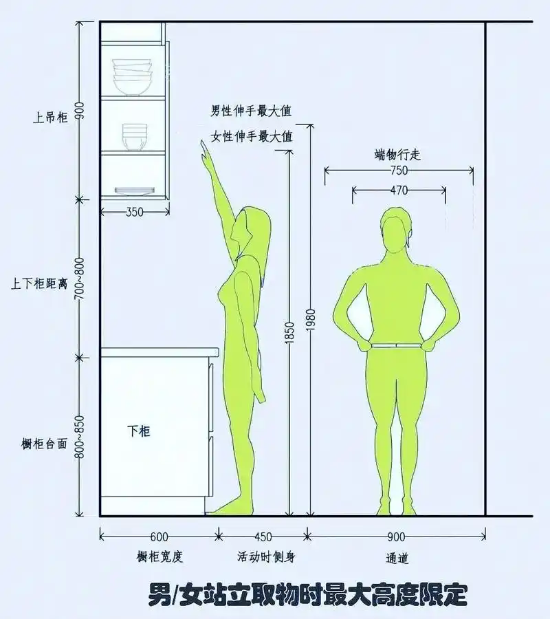 必须收藏的橱柜设计尺寸大全.你觉得厨房台面做800高还是85 - 抖音