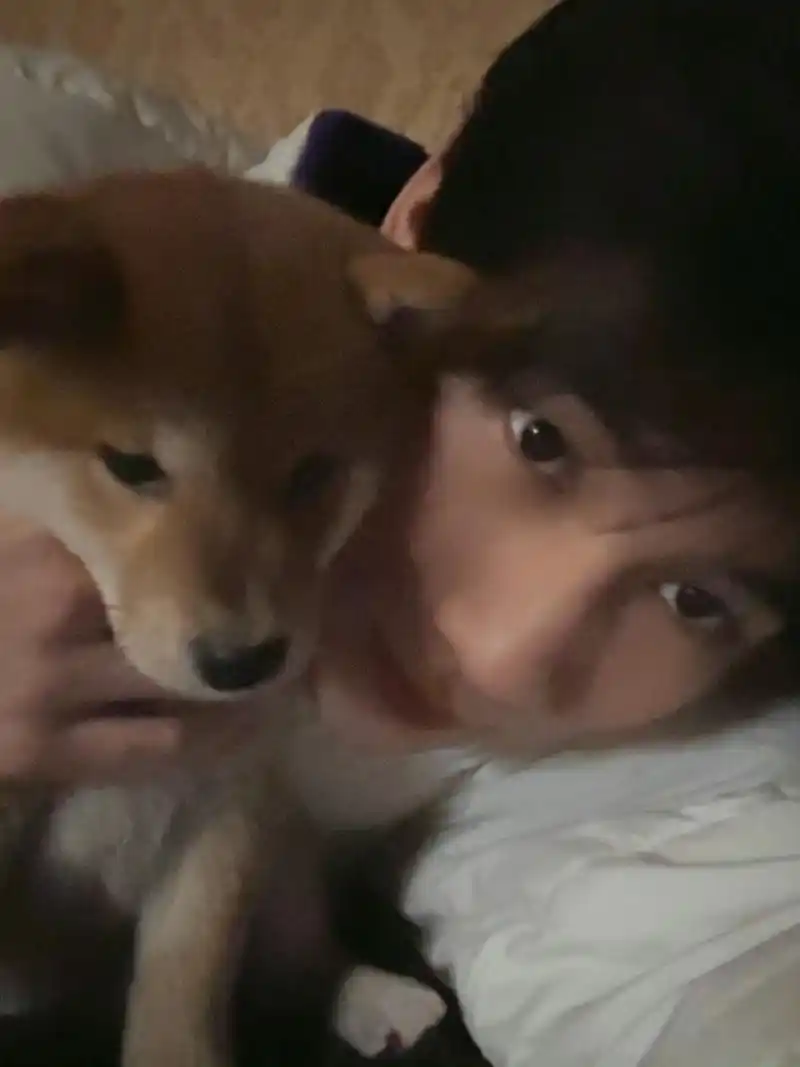 张真源有狗了# 没人觉得很惊喜吗那样湿漉漉的眼睛和那么小一只小黄