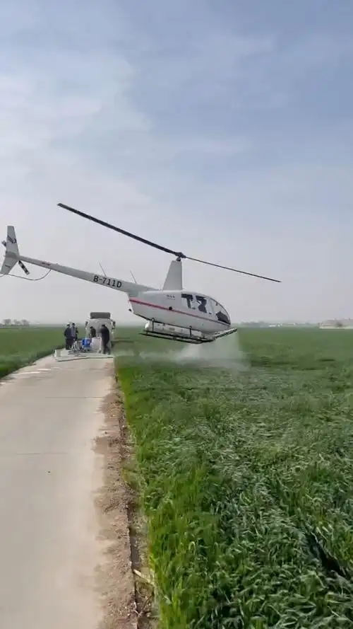 直升机超低空飞行打药91