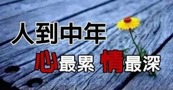 人到中年,心最累,情最深 中年人的心声,句句大实话