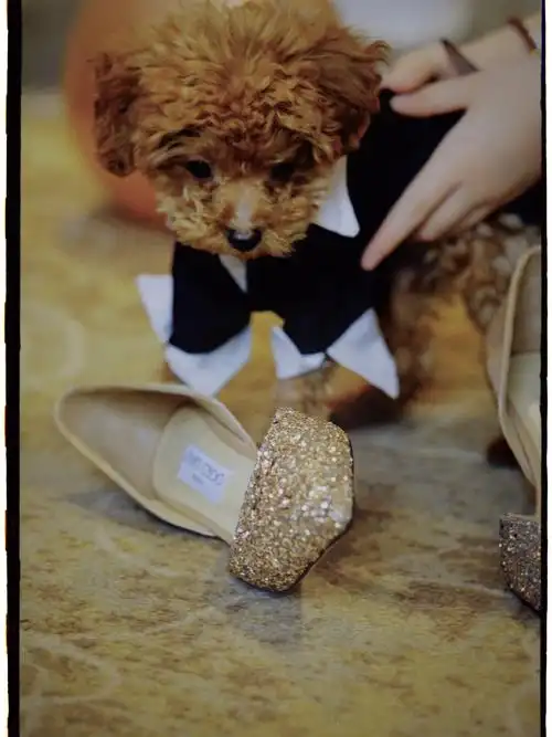 婚礼上的小特写z6285mm