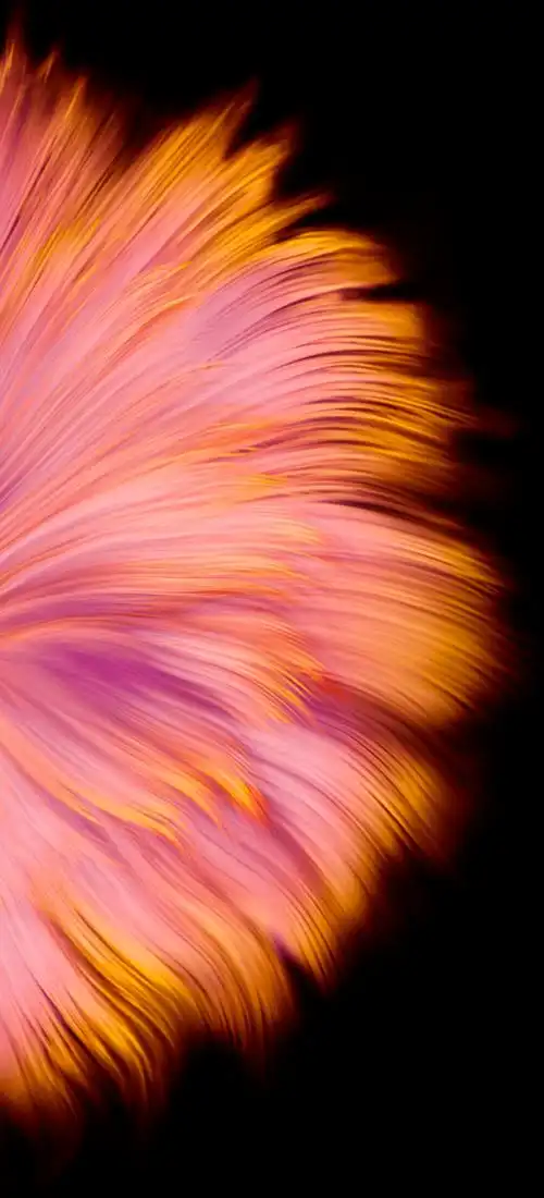 huawei mate40 系列手机壁纸