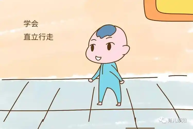 三, 学会直立行走.