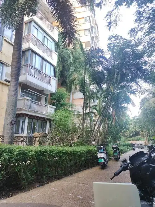 海口新埠岛大型小区新世界花园正规大3房小区环境优美