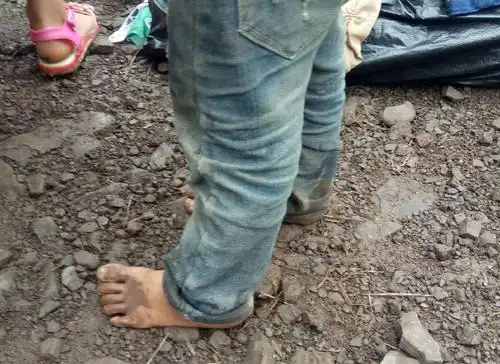 虽然有阳光,还是有一些荒芜