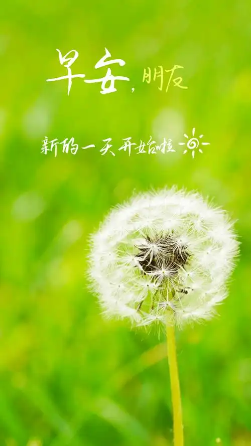 【早安一句话正能量】之2115365