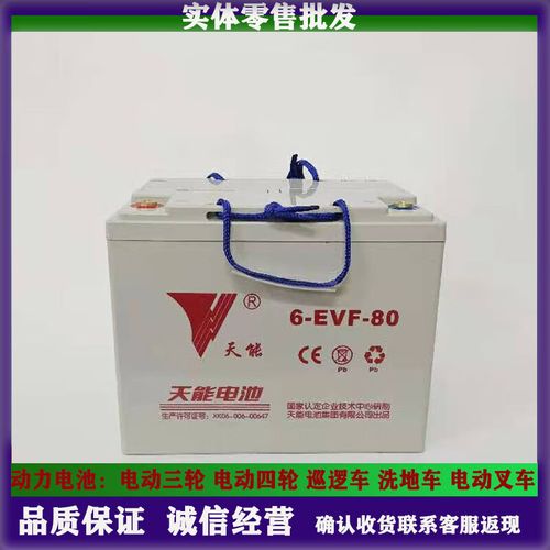 林村天能6-evf-100电动汽车洗地机小火车叉车堆高车12v80a120ah蓄电池