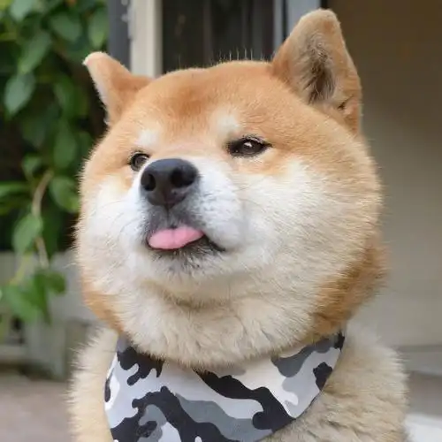 想到今天是礼拜五就会开心的笑出声来