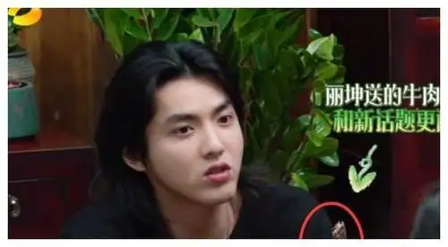 承认年纪大了难逃一胖的吴亦凡,胖出了一部流量明星转型史