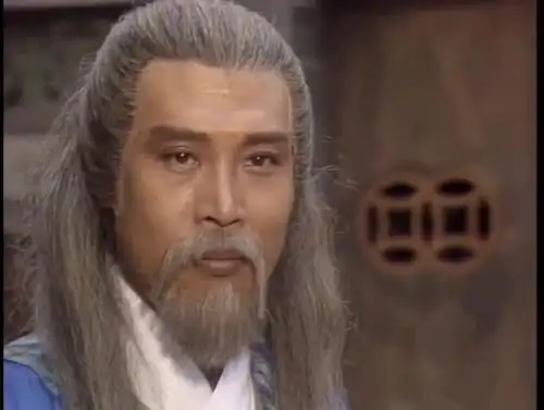 射雕英雄传南希仁为护大哥独战欧阳锋竟被他暗算