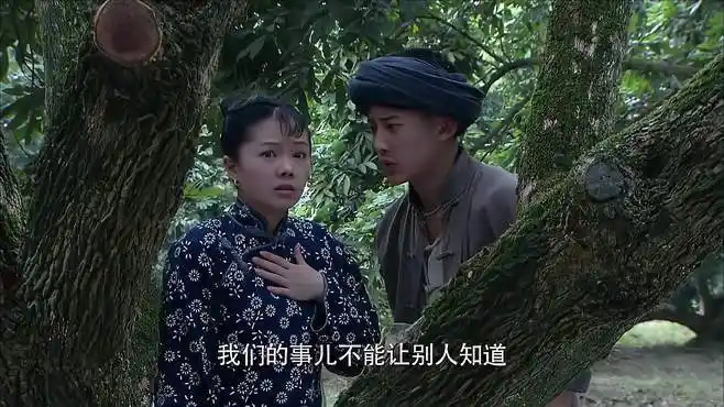 那笛围屋里的桃花图片