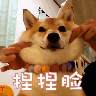 soogif soogif出品 捏脸 卖萌