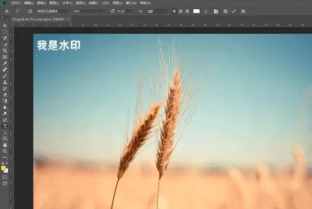 图片加水印用什么软件?这几个加水印工具推荐给你