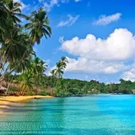 阳光海滩图片头像