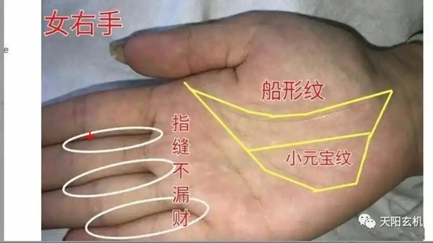 女人这种手相特征,天注定是富贵命,嫁给谁,谁发家!